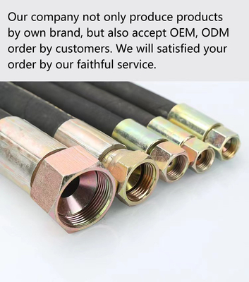 High Pressure Customized Black 2SN 4SP Hydraulic Hose with Smooth Surface and Package Type
