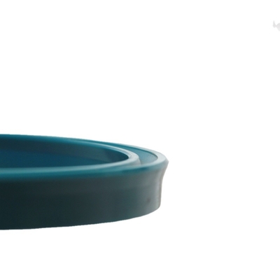 Customized Oil Seal for Hydraulic Cylinders Transparent Packaging Solutions Provided