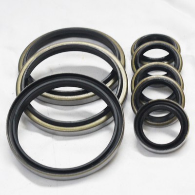 DKB Oil Seal Excavator Rubber Metal Dust Seals For Engine for Heavy-duty Applications
