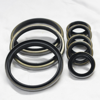 Customized DKB Dust Oil Seal Rubber Hydraulic Wiper Seal The Ideal Choice for B2B