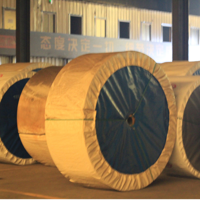 Professional Pvc Conveyor Belt for Moulding Processing Service