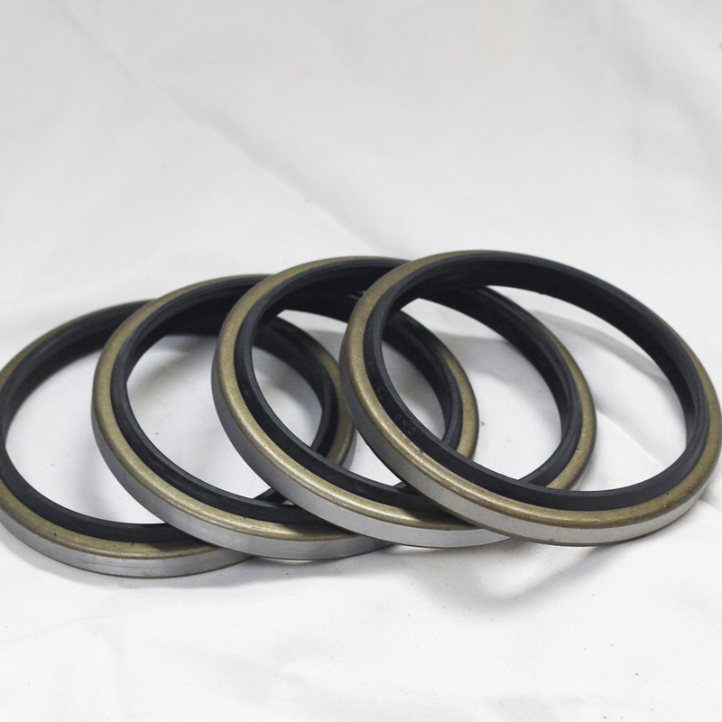 DKB Oil Seal Metal Dust Wiper Seal for High Temperature Resistance and Oil Resistance