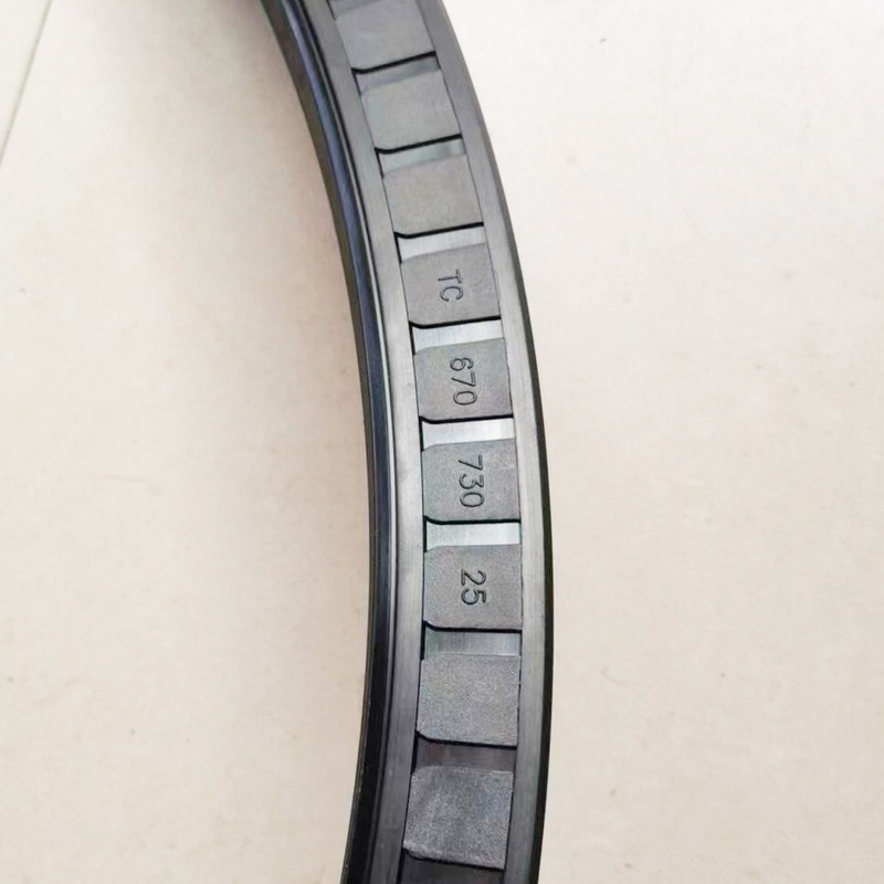 670*730*25 TC Oil Seals Made of NBR FKM Rubber for High Temperature Resistance